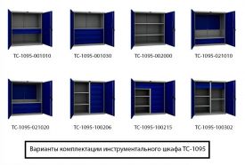 Шкаф инструментальный TC-1095